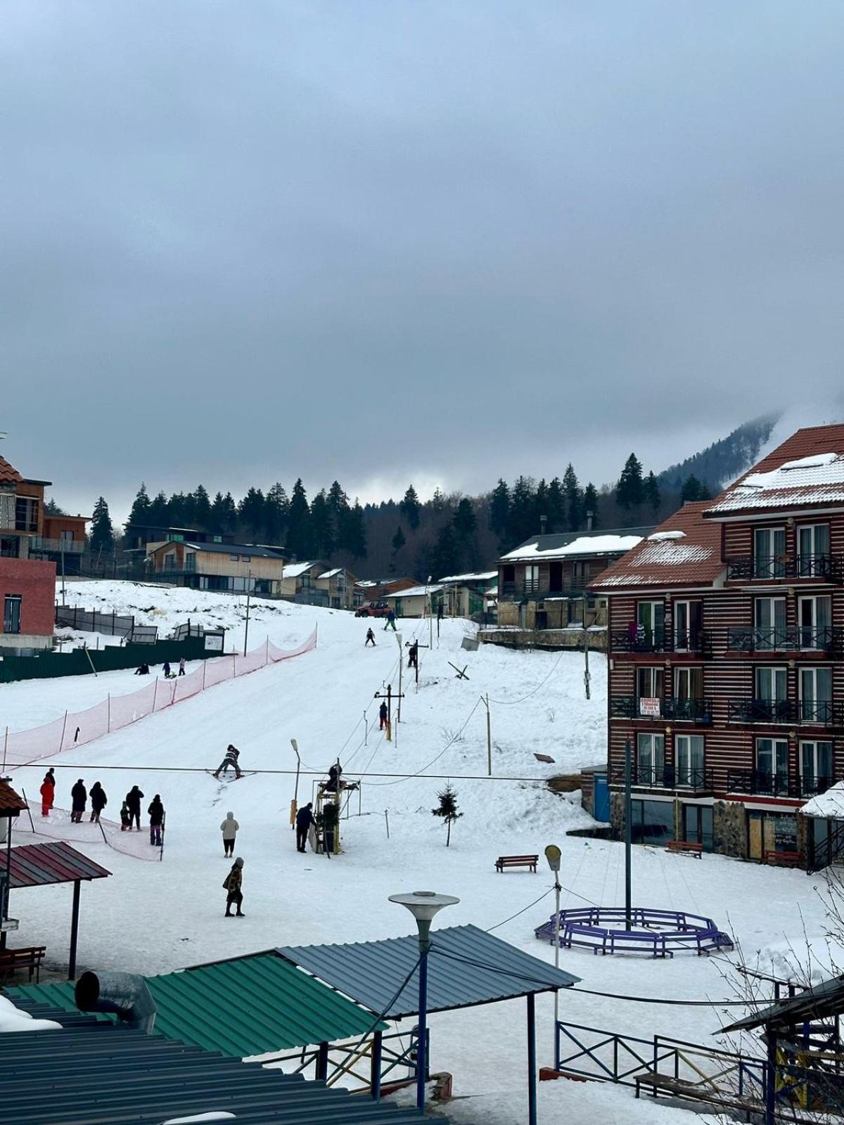 Mgzavrebi Apartment In Bakuriani Bagian luar foto
